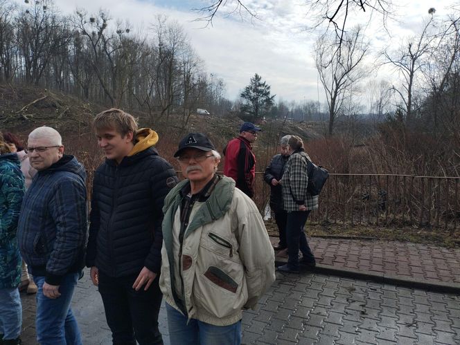 Kontrowersyjna wycinka drzew pod trasę N-Ś w Rudzie Śląskiej. Mieszkańcy: "to jest fałszerstwo na duża skalę, to skandal"