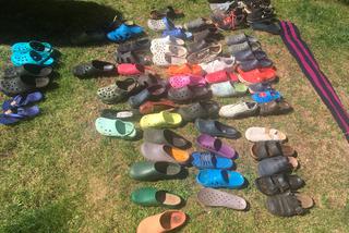 Lis kradnie Niemcom buty