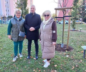 Danusia, Halinka, Linkus, Seniorita i Stasiu zapuszczają korzenie. Nowe nasadzenia w Lesznie