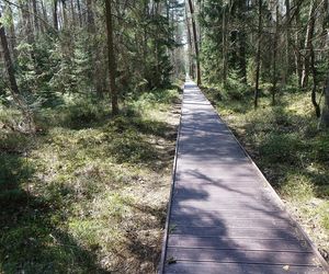 Biebrzański Park Narodowy