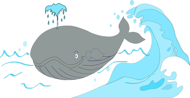 Dzieci, oto największe zwierzęta świata! Przed Wami 6 niesamowitych faktów na temat wielorybów!
