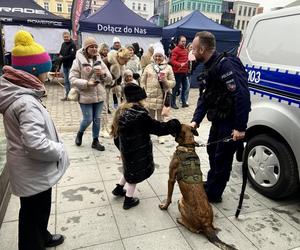 Ile bydgoszczanie zebrali na finale WOŚP? Mamy pierwsze wyniki liczenia w sztabie