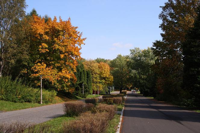 Park Śląski w Chorzowie