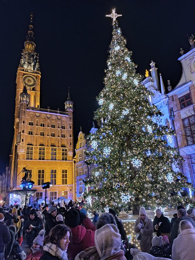 Gdańska choinka rozbłysła. Zobaczcie nasze zdjęcia!