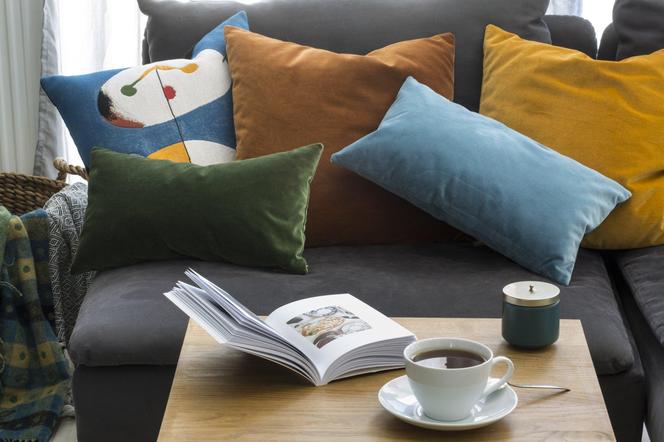 Efektowne poduszki na sofę i fotele. Zasady doboru