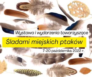 Wydarzenia w Warszawie 14-16 października