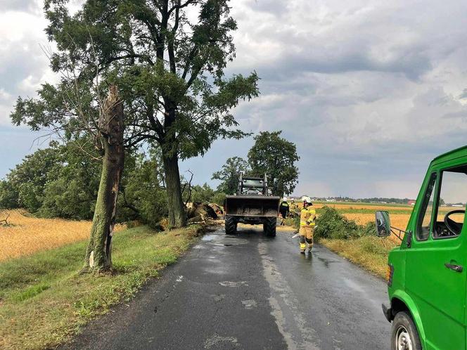 Powalone drzewa, zerwane dachy. Burza przeszła nad powiatem pleszewskim