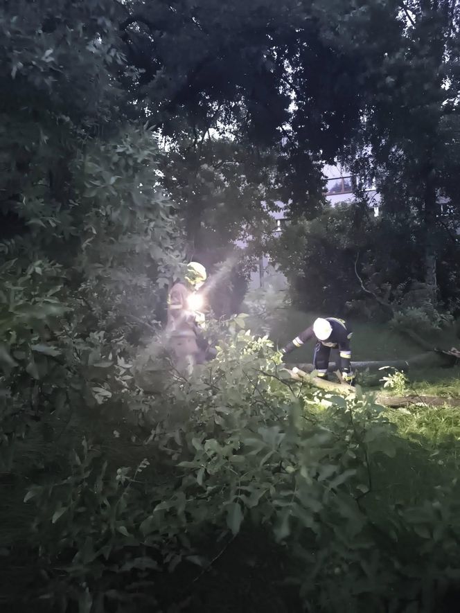 Orkan przechodzi przez województwo śląskie. Gwałtowne burze i ulewny deszcz