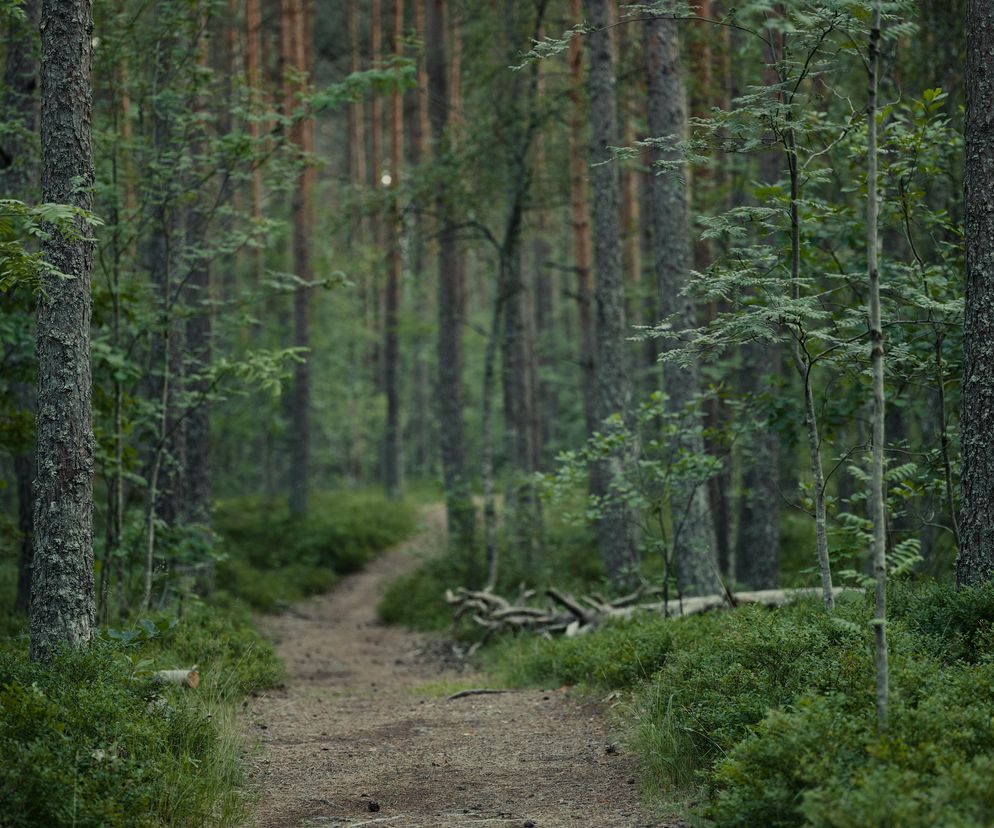 To najdalej na północ wysunięty powiat w woj. lubelskim