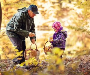 Jak zbierać grzyby? Tym sposobem zapełnisz cały koszyk!