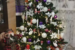 Choinki naszych Czytelników. Taki klimat tylko w woj. lubelskim!