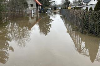 Wojsko wkroczyło do akcji. Walka z powodzią pod Wyszkowem