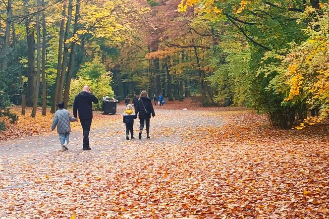 Przygotowania do 1 listopada na Cmentarzu Centralnym w Szczecinie