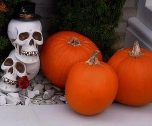 Małgorzata Rozenek-Majdan