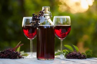 Wino z owoców czarnego bzu – domowy trunek pełen smaku i aromatu
