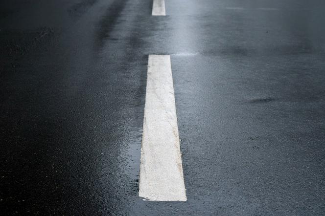 Od marca wolniej pojedziemy al. Grunwaldzką i Zwycięstwa w Gdańsku
