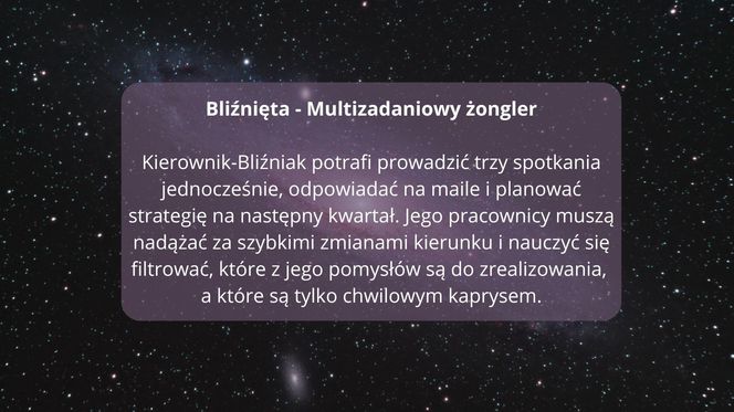 Zodiakalne style zarządzania: Kiedy gwiazdy wkraczają do biura