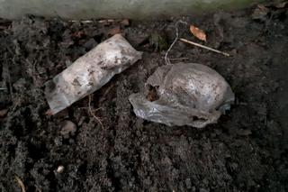 Otwock: policja zatrzymała dilera, który zakopał w ziemi ponad 2 kg narkotyków