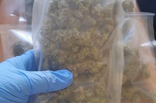 Narkotyki zabezpieczone podczas akcji policji