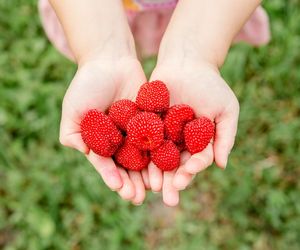 Malinotruskawka zdobywa coraz większą popularność. Spróbuj tego czerwonego owocu
