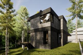 Dom na leśnej wydmie