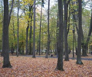 Park Lubomirskich w Białymstoku jesienią 