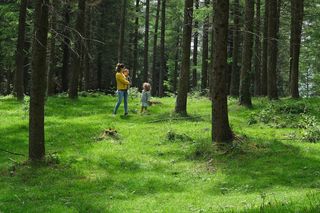 Akcja spacer! Polacy wyruszyli do lasów i parków