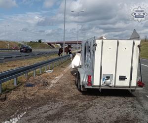 Gliwice. Na autostradzie stoi koń. Uwaga kierowcy!