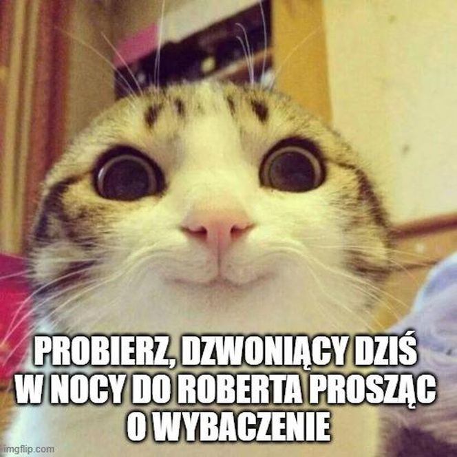 Finlandia - Polska: MEMY
