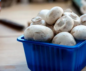 Witaminę D znajdziesz w grzybach. Ale jedzenie pieczarek nie wystarczy