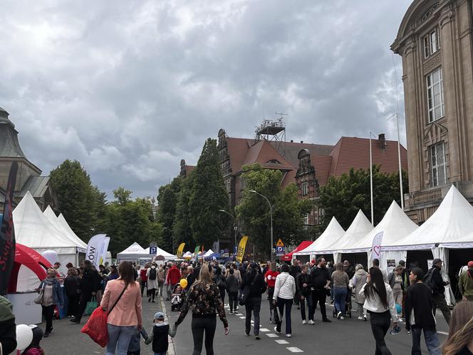 Piknik nad Odrą 2024 Szczecin 