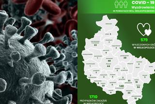 Koronawirus w Wielkopolsce. Mało nowych zakażeń, wielu zdrowych [RAPORT]