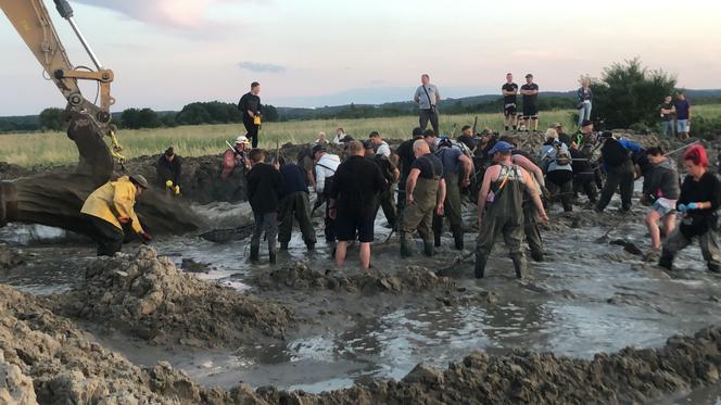 Poszukiwacze bursztynu w Rewie. Jak wyglądają poszukiwania złota Bałtyku? 