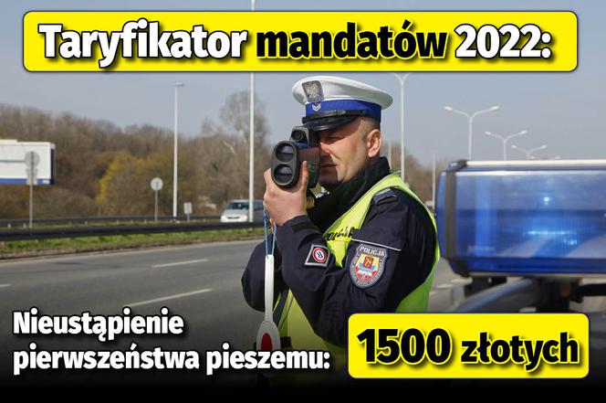 Taryfikator mandatów 2022 