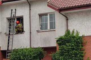 Na ratunek kota było za późno