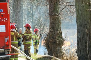 Piekielny ogień buchał z ziemi pod Ostródą. Wiemy, co się stało!