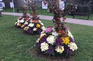 Jesienne kompozycje w Grudziądzu