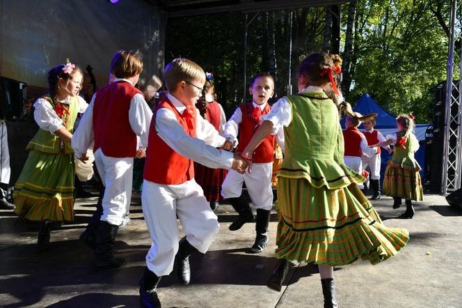 Tłumy na dożynkach w Olsztynku. Zobacz, jak wyglądało tegoroczne święto plonów