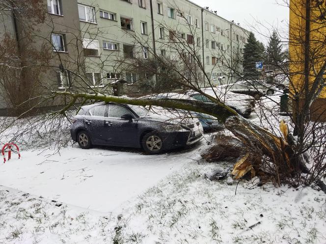 Potężne załamanie pogody w Polsce. Wichury sieją zniszczenie. Nadciąga do nas coś jeszcze