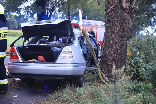 Wielkopolskie. Mercedes uderzył w drzewo! 26-letni pasażer nie żyje! 