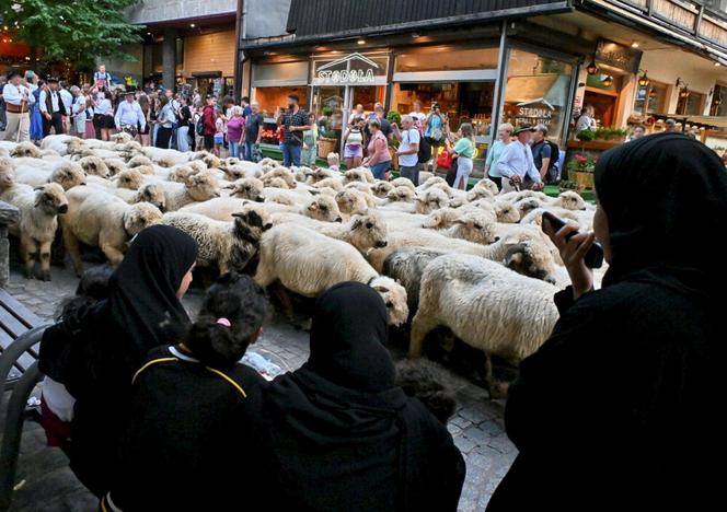 Nowy hit wśród Arabów w Zakopanem. Biorą nawet 20 opakowań za jednym razem!