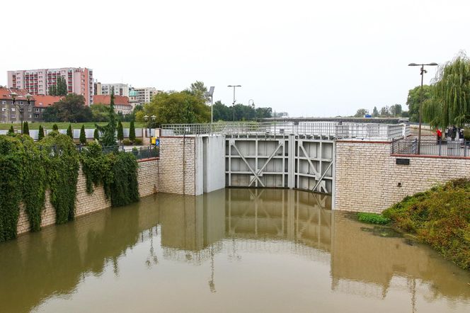 Powódź w Opolu. Stan Odry w środę, 18.09.2024 