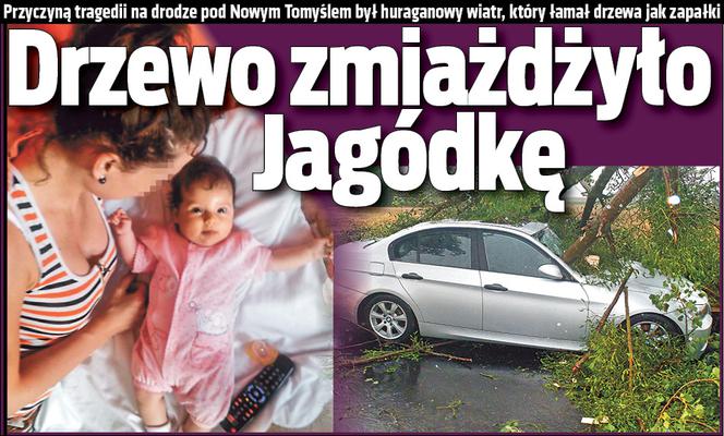 Drzewo zmiażdżyło Jagódkę