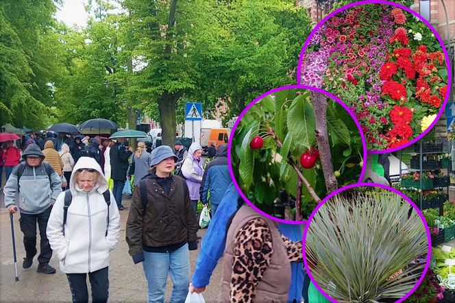 Kiermasz "Pamiętajcie o ogrodach"