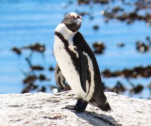 Co jedzą zwierzęta w ZOO Wrocław? Ekspert zdradza sekrety zwierzęcej diety