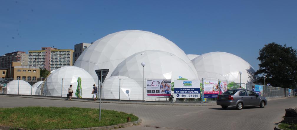 Kids Arena