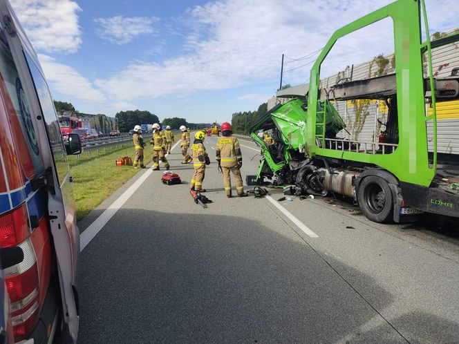 Śmiertelny wypadek na S8 pod Pabianicami. Kierujący BMW jechał pod prąd i huknął w tira [ZDJĘCIA].