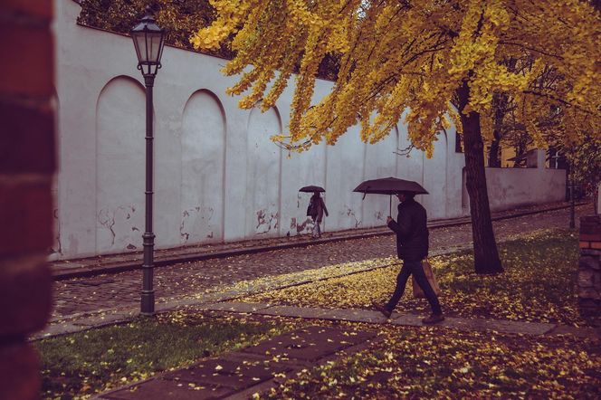 Od  -5°C do  15°C. Tutaj będzie padać. Pogoda nie rozpieszcza 