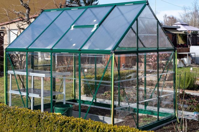Szklarnia w ogrodzie