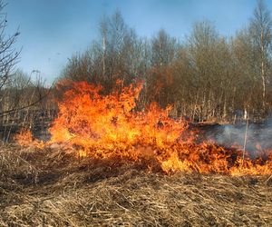 Nawet 30 tysięcy kary za bezmyślność! Rząd szykuje zmiany w przepisach 